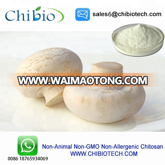 Water soluble HCL Chitosan in stock 200,000-2000,000DA